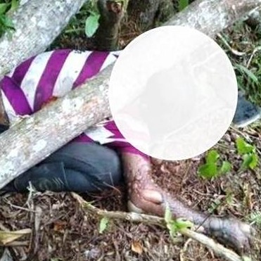 Diario Frontera, Frontera Digital,  Hallaron a ciudadano muerto, TUCANÍ, Sucesos, ,Hallaron a ciudadano muerto tras caerle 
encima un árbol que estaba cortando en Tucaní