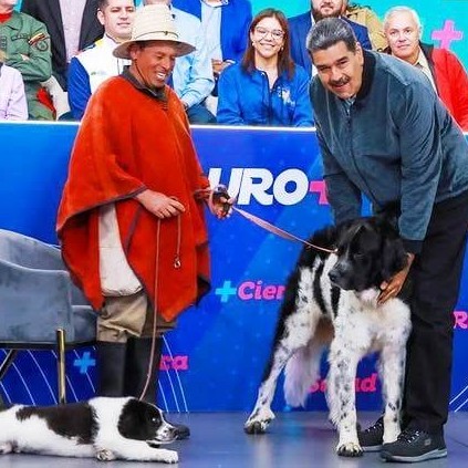 Diario Frontera, Frontera Digital,  PERRO NEVADO, MADURO MÁS, JEHYSON GUZMÁN, Páramo, ,Gobernador Jehyson Guzmán calificó 
al perro Nevado como símbolo de lealtad
