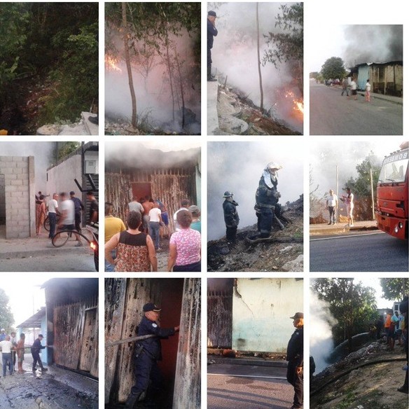 Diario Frontera, Frontera Digital,  INCENDIO CAUCHERA, CAÑO SECO, Sucesos, ,Incendio de vegetación ocasionó daño total
a una cauchera en Caño Seco de El Vigía