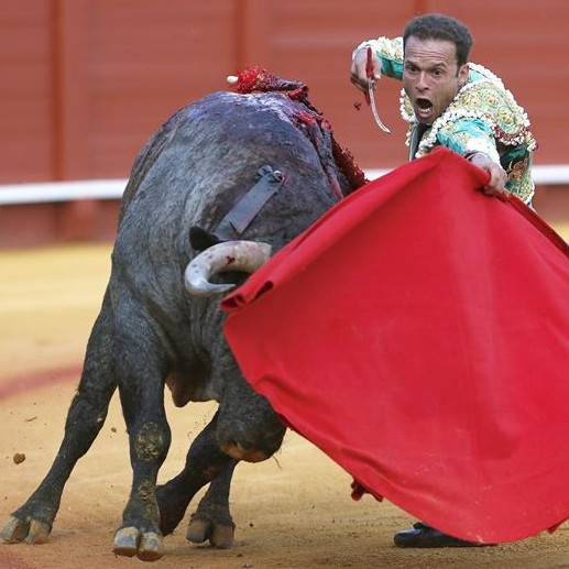 Diario Frontera, Frontera Digital,  FERIA DE TOVAR, Entretenimiento, ,La veteranía como elemento en común 
toreros extranjeros para la Feria de Tovar