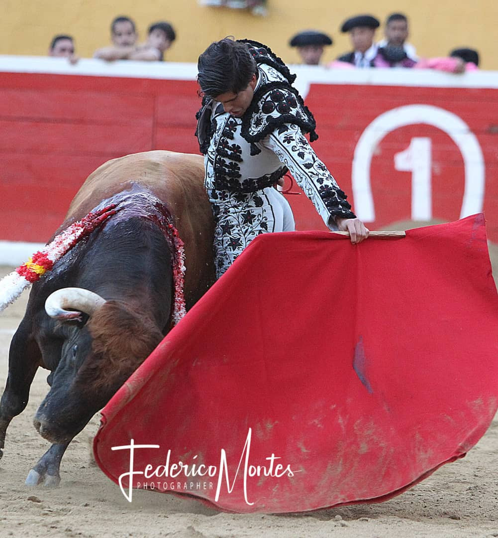 Diario Frontera, Frontera Digital,  Entretenimiento, ,Francisco de Manuel, entra en la Feria de San Isidro frente a una histórica ganadería