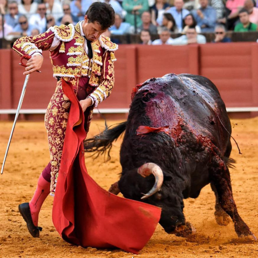 Diario Frontera, Frontera Digital,  Entretenimiento, ,ENTREVISTA │ Luque: “La cornada de El Puerto fue un exceso de confianza”