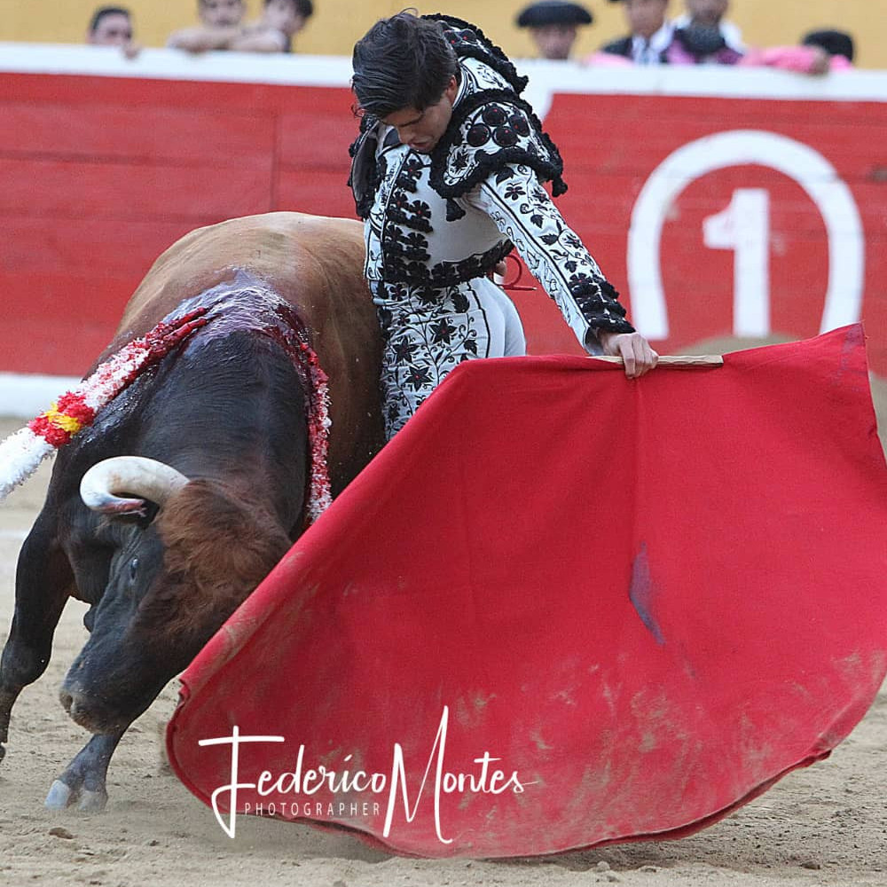 Diario Frontera, Frontera Digital,  Entretenimiento, ,Francisco de Manuel, entra en la Feria de San Isidro frente a una histórica ganadería