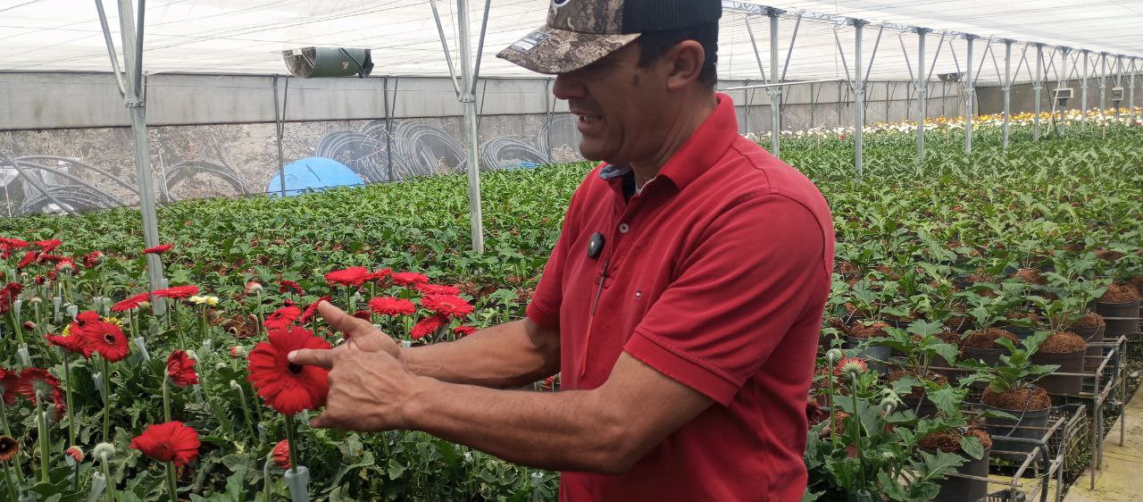 Diario Frontera, Frontera Digital,  Mocoties, ,Rivas Dávila: un paraíso turístico, florícola y agrícola en Mérida