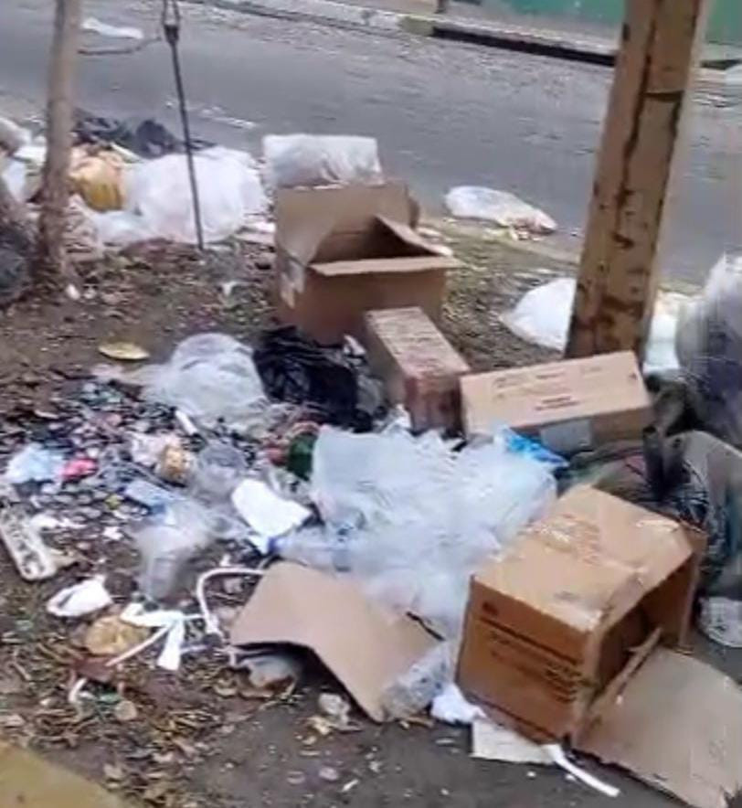 Diario Frontera, Frontera Digital,  El Vigía Panamericana, ,Exigen recolección de basura en El Vigía antes de convertirse en problema de salud pública