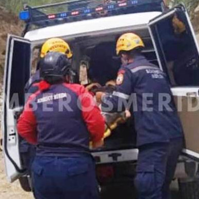 Diario Frontera, Frontera Digital,  Sucesos, ,Hombre herido al ser tapiado por un alud de tierra en Tovar