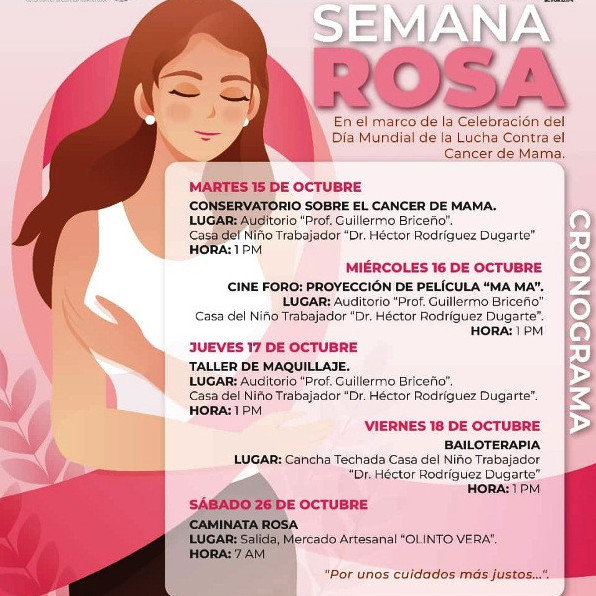 Diario Frontera, Frontera Digital,  El Vigía Panamericana, ,Instituto Municipal de la Juventud de Alberto Adriani 
inició actividades por Día Mundial del Cáncer de Mama
