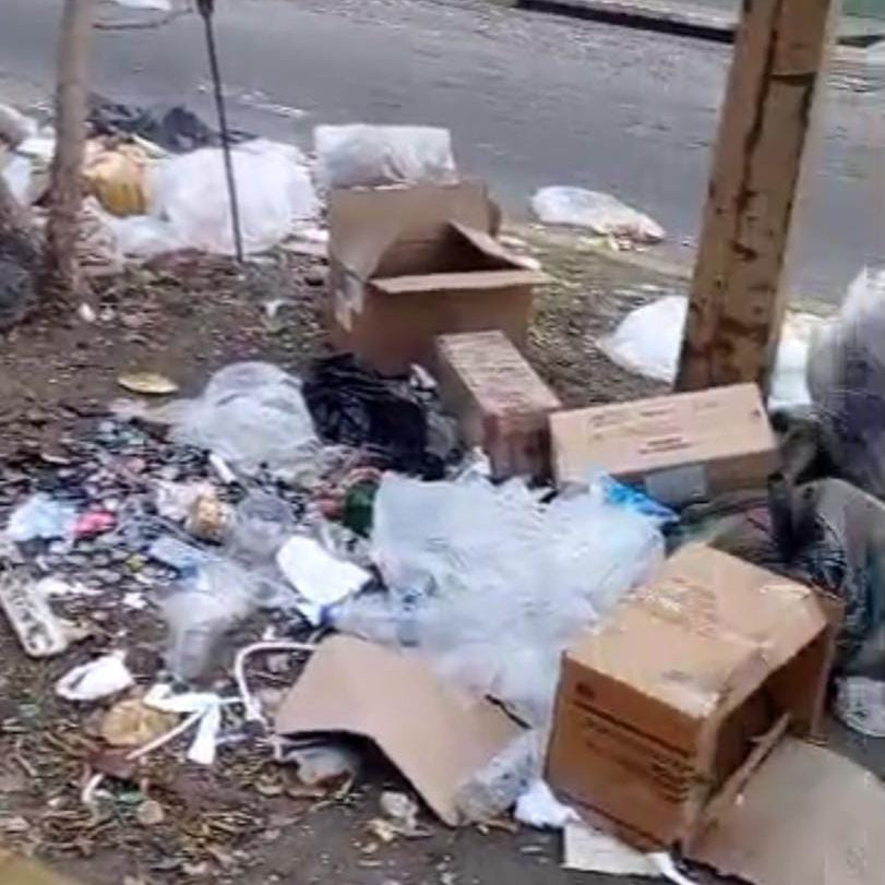 Diario Frontera, Frontera Digital,  El Vigía Panamericana, ,Exigen recolección de basura en El Vigía antes de convertirse en problema de salud pública