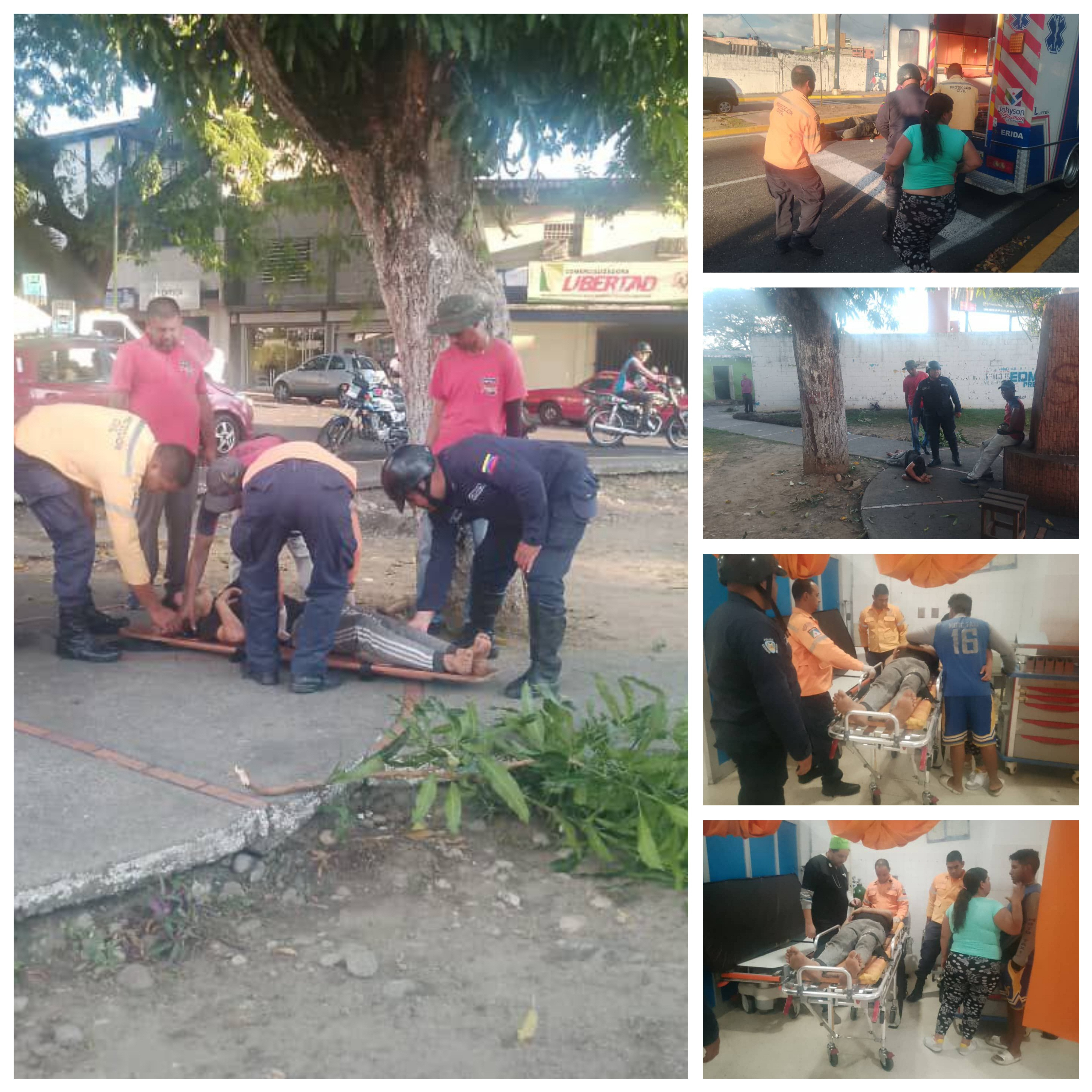 Diario Frontera, Frontera Digital,  Sucesos, ,Ciudadano lesionado al caer de un árbol en la plaza La Cordillera de El Vigía