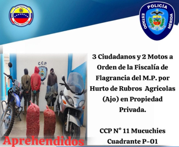 Diario Frontera, Frontera Digital,  Sucesos, ,Policía detuvo a tres integrantes 
de la banda “El Maracay” en Mucuchíes