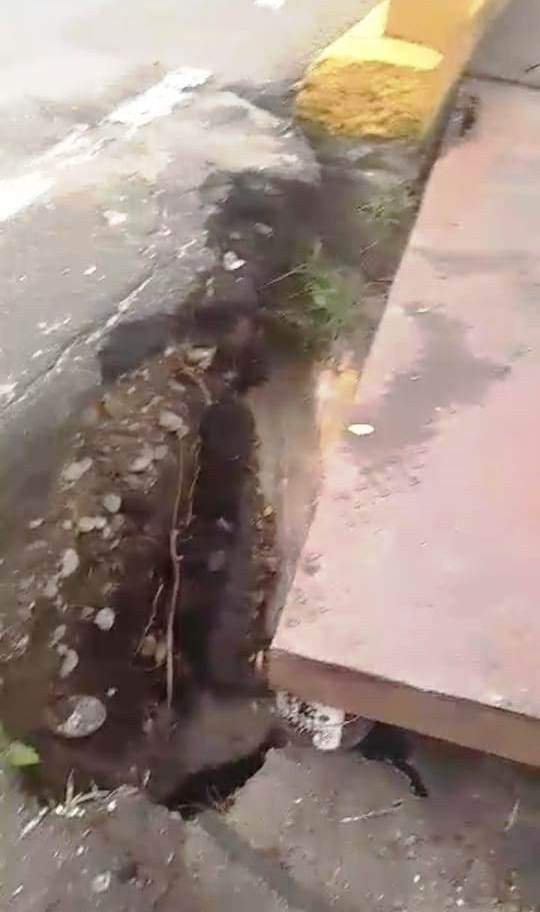 Diario Frontera, Frontera Digital,  El Vigía Panamericana, ,Denuncian hundimiento en una de las cabeceras 
del puente La Blanca en El Vigía