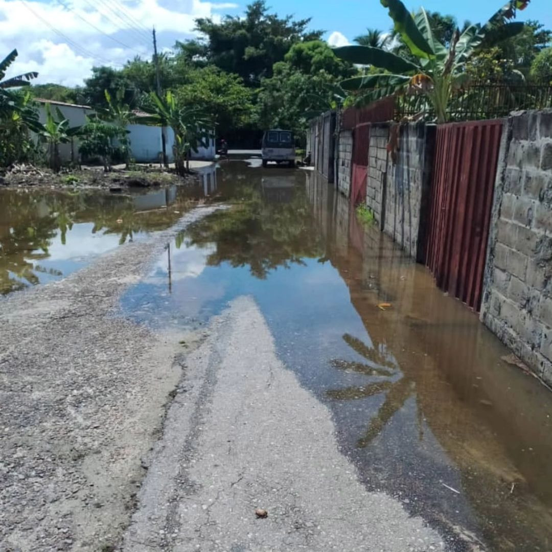 Diario Frontera, Frontera Digital,  El Vigía Panamericana, ,Palmarito amaneció bajó las aguas