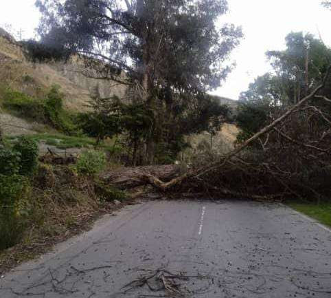 Diario Frontera, Frontera Digital,  Páramo, ,Atienden obstrucción en la vialidad del páramo en Mérida