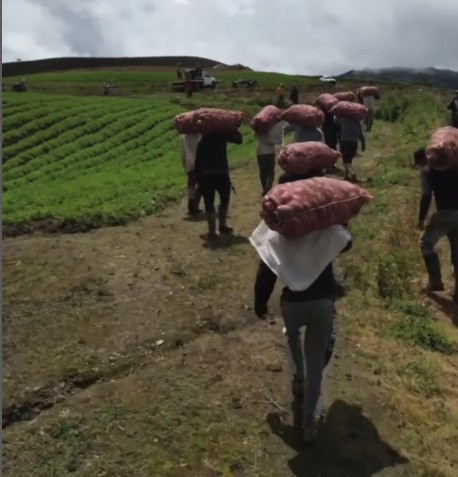 Diario Frontera, Frontera Digital,  Páramo, ,Productores del páramo merideño 
articulan esfuerzos para defender su producción