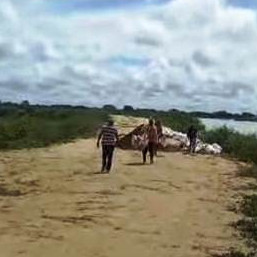Diario Frontera, Frontera Digital,  El Vigía Panamericana, ,Río Zulia amenaza con romper muro de contención en Kilómetro 43 en Catatumbo