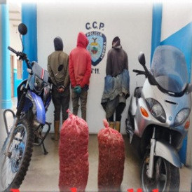 Diario Frontera, Frontera Digital,  Sucesos, ,Policía detuvo a tres integrantes 
de la banda “El Maracay” en Mucuchíes