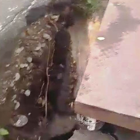Diario Frontera, Frontera Digital,  El Vigía Panamericana, ,Denuncian hundimiento en una de las cabeceras 
del puente La Blanca en El Vigía