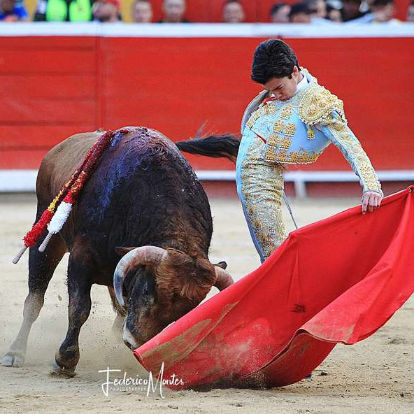 Diario Frontera, Frontera Digital,  Entretenimiento, ,Marco Pérez lidiará seis novillos como único espada en la Feria de San Isidro