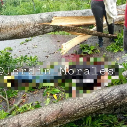 Diario Frontera, Frontera Digital,  Sucesos, ,Ciudadano falleció aplastado
tras caerle un árbol en La Azulita