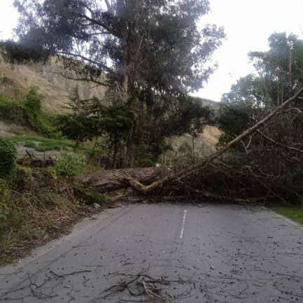 Diario Frontera, Frontera Digital,  Páramo, ,Atienden obstrucción en la vialidad del páramo en Mérida