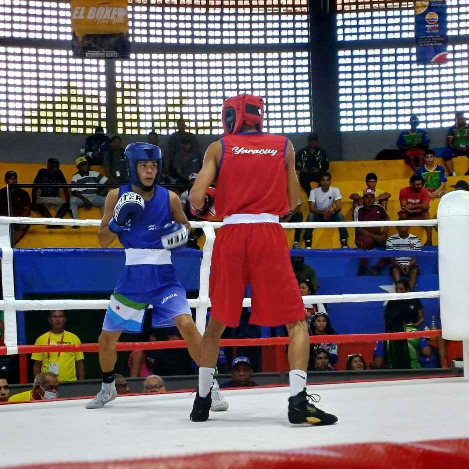 Diario Frontera, Frontera Digital,  Deportes, ,Boxeo merideño aseguró tres medallas de bronce
