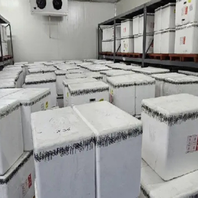Diario Frontera, Frontera Digital,  Salud, ,Venezuela recibió más de un millón de vacunas contra la fiebre amarilla