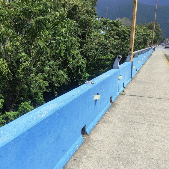 Diario Frontera, Frontera Digital,  Sucesos, ,Robaron parte de las barandas del viaducto Sucre