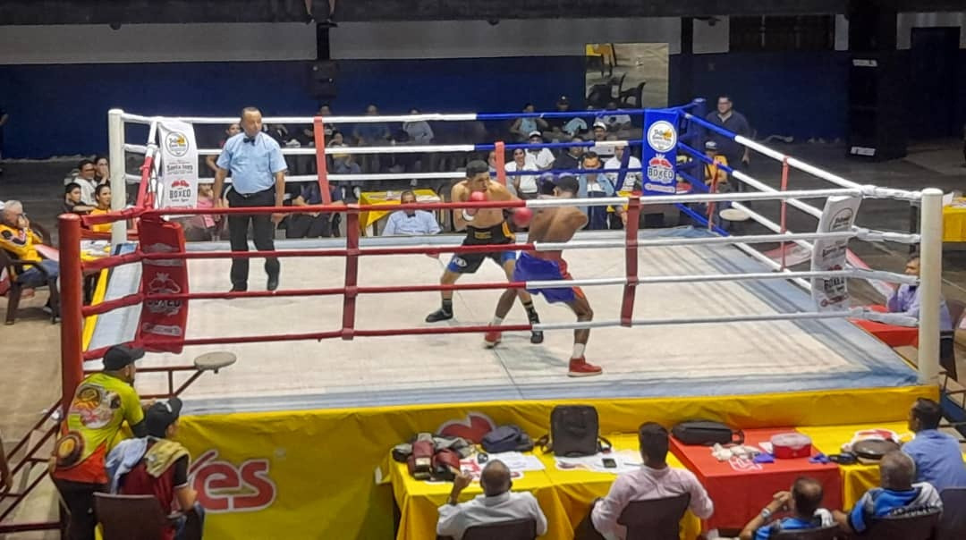 Diario Frontera, Frontera Digital,  Deportes, ,Mérida ganó ocho combates por nocaut 
a Caracas en boxeo profesional en El Vigía