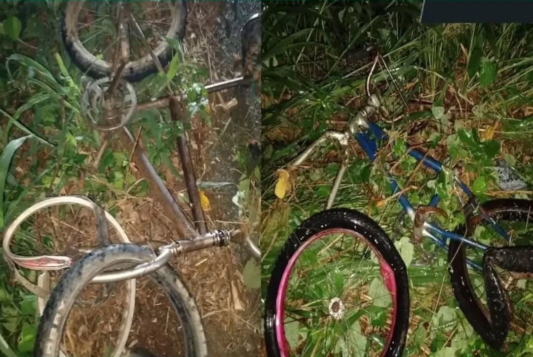Diario Frontera, Frontera Digital,  Sucesos, ,Dos mujeres fallecieron arrolladas en carretera a Santa Bárbara del Zulia