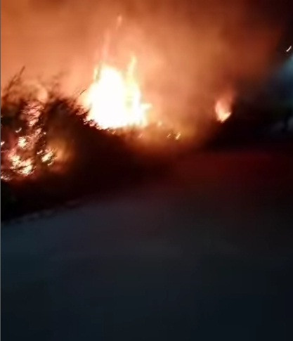 Diario Frontera, Frontera Digital,  Sucesos, ,Bomberos logró controlar y extinguir incendio de vegetación en Mérida