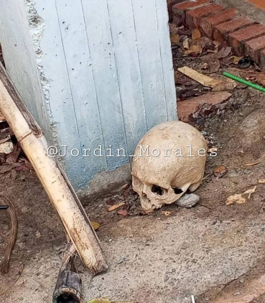 Diario Frontera, Frontera Digital,  Sucesos, ,Localizaron cráneo humano en Chiguará
