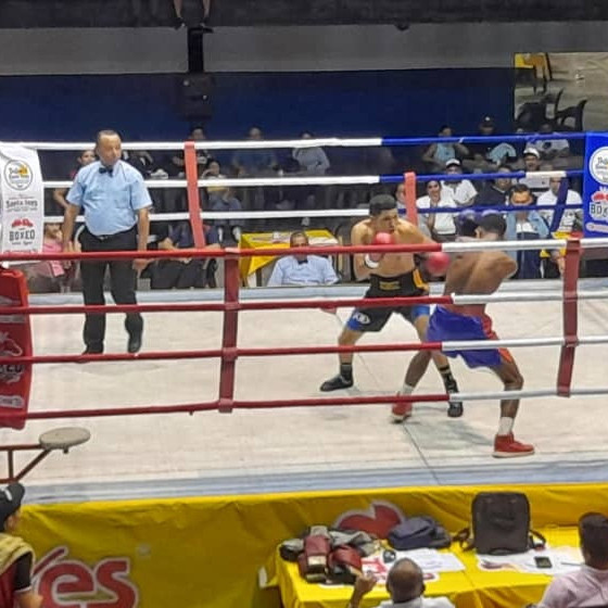 Diario Frontera, Frontera Digital,  Deportes, ,Mérida ganó ocho combates por nocaut 
a Caracas en boxeo profesional en El Vigía