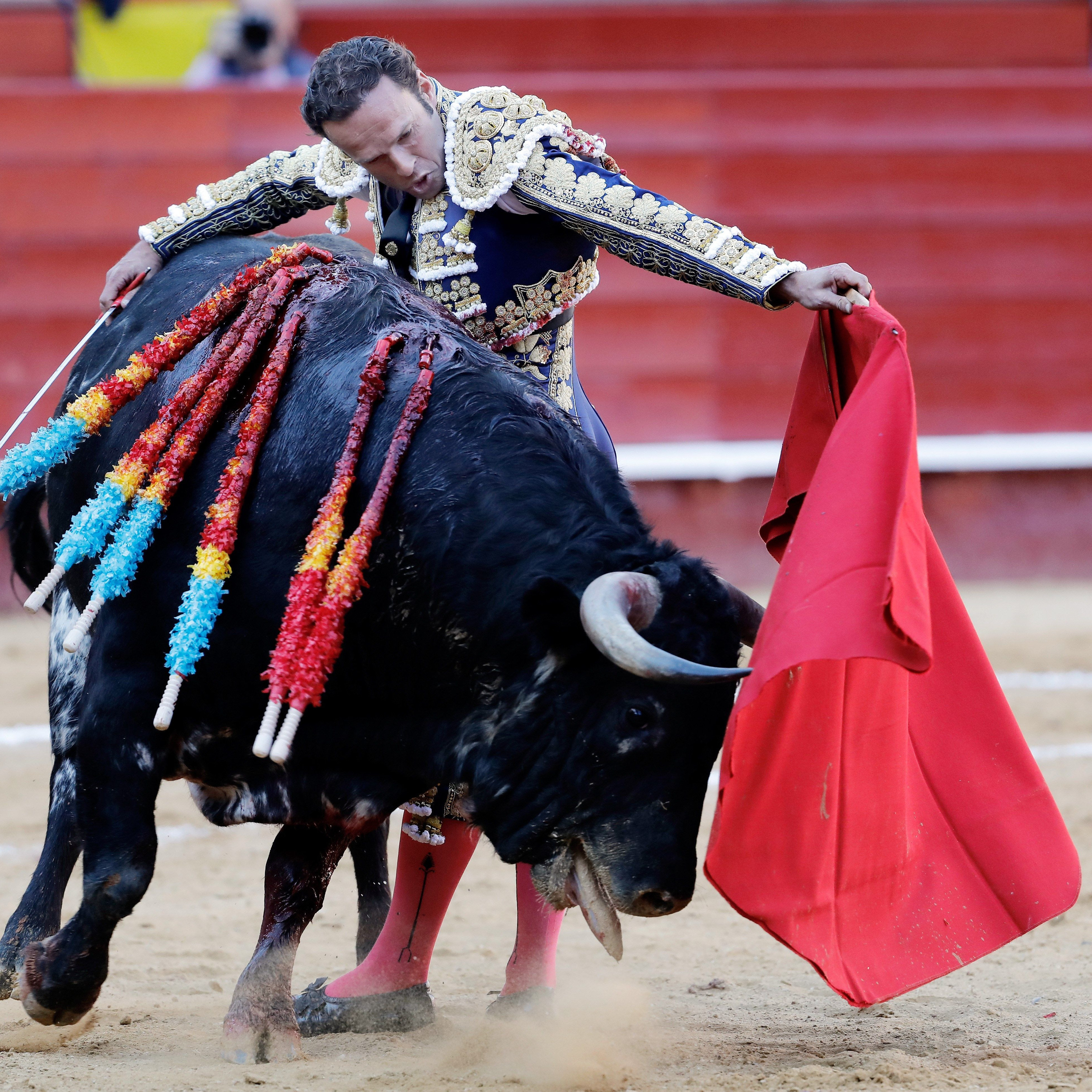 Diario Frontera, Frontera Digital,  Entretenimiento, ,Ferrera se une a la lista de toreros para la Feria del Sol 2025