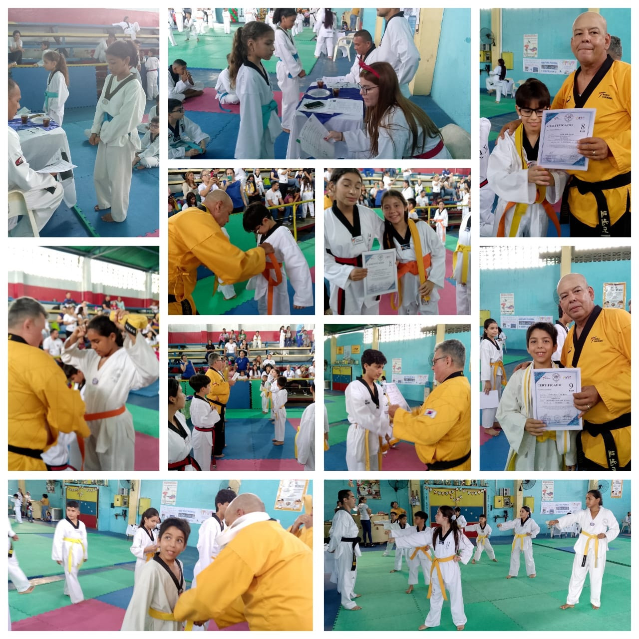 Diario Frontera, Frontera Digital,  El Vigía Panamericana, ,Cien atletas de Taekwondo recibieron ascenso de grado en El Vigía