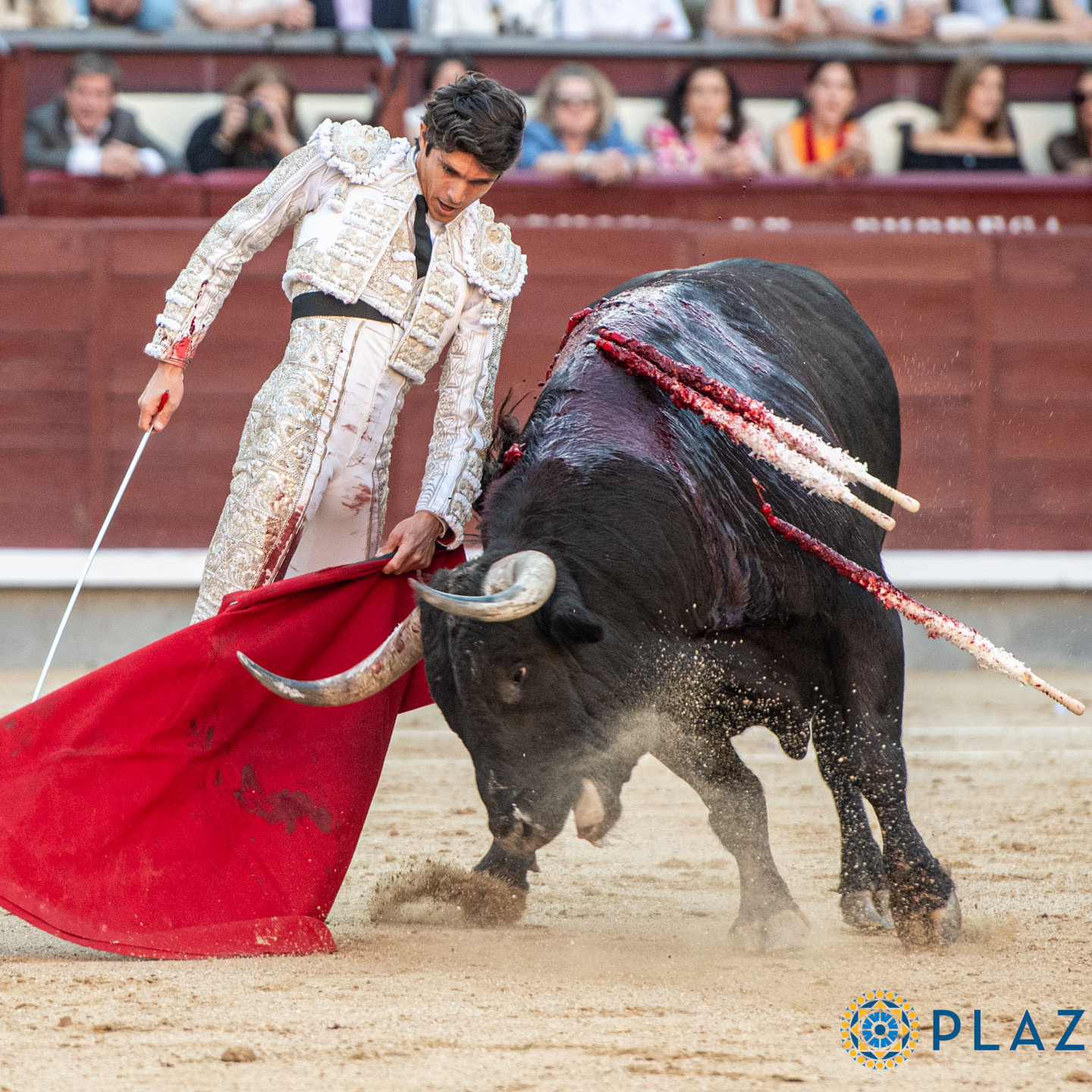 Diario Frontera, Frontera Digital,  Entretenimiento, ,Sebastián Castella otro figurón para la Feria del Sol, y van…