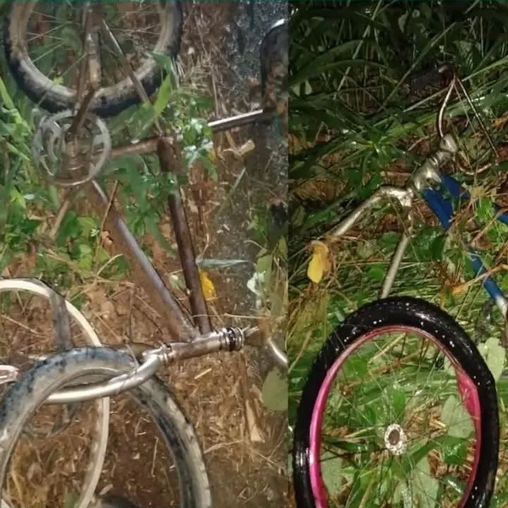 Diario Frontera, Frontera Digital,  Sucesos, ,Dos mujeres fallecieron arrolladas en carretera a Santa Bárbara del Zulia