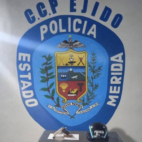 Diario Frontera, Frontera Digital,  Sucesos, ,Policía capturó a adolescente con un arma de fuego en el municipio Campo Elías