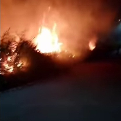 Diario Frontera, Frontera Digital,  Sucesos, ,Bomberos logró controlar y extinguir incendio de vegetación en Mérida