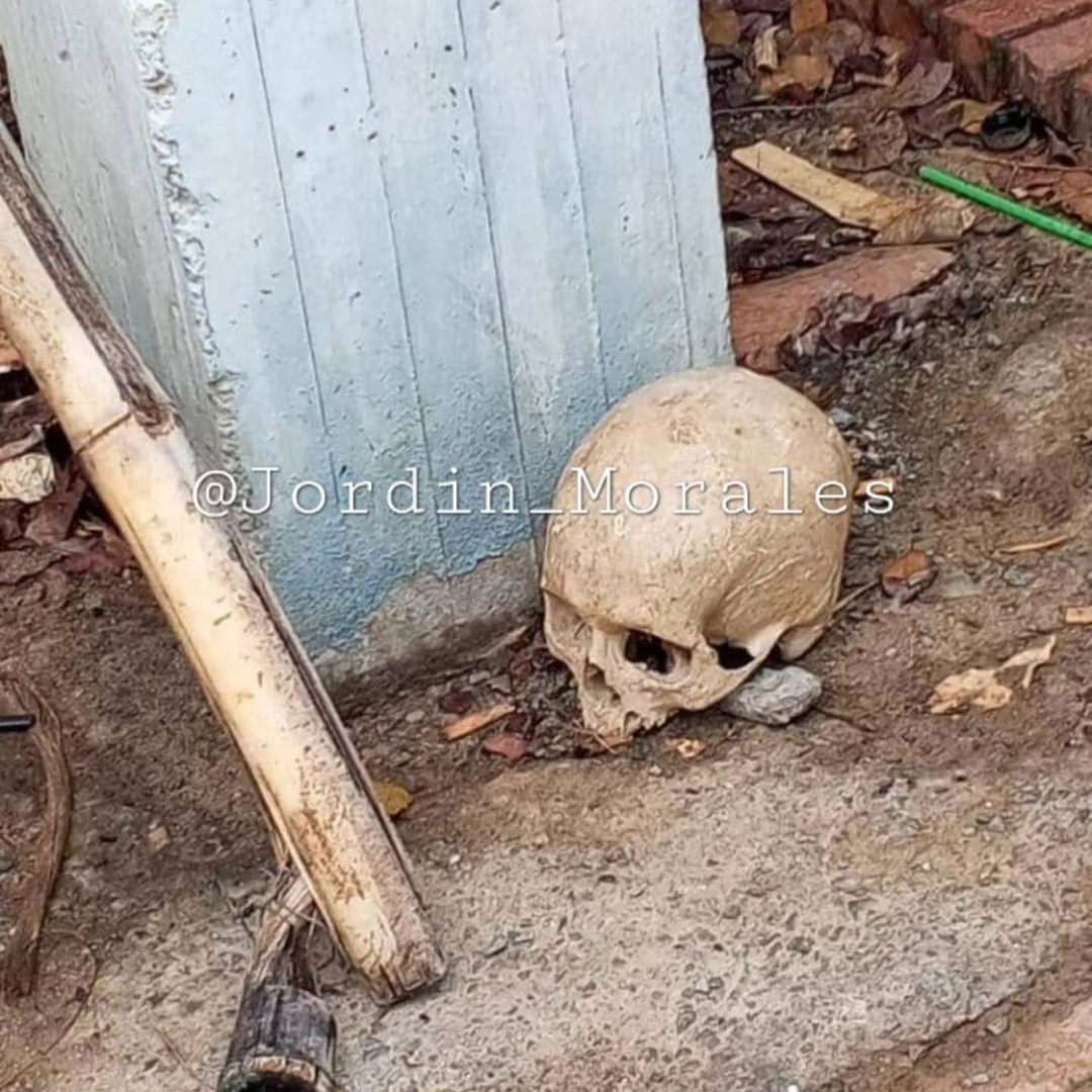 Diario Frontera, Frontera Digital,  Sucesos, ,Localizaron cráneo humano en Chiguará