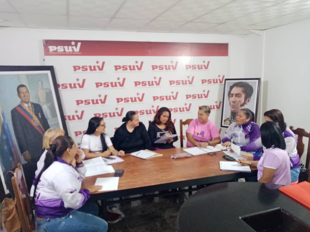 Diario Frontera, Frontera Digital,  Politica, ,Puntos violetas para conformar comités de base y Federación de Mujeres Venezolanas