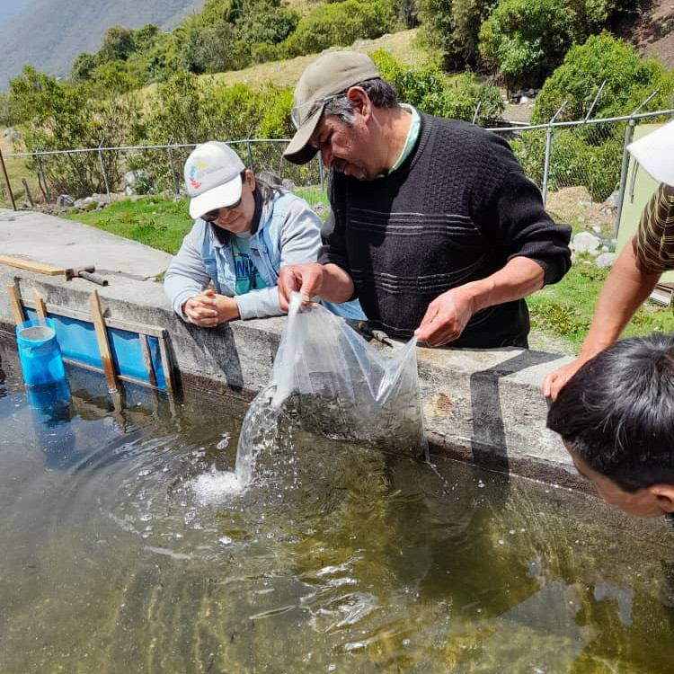 Diario Frontera, Frontera Digital,  Páramo, ,Unidades de producción truchícola de Pueblo Llano fueron reactivadas con financiamientos