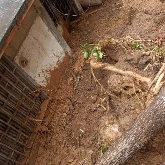 Diario Frontera, Frontera Digital,  El Vigía Panamericana, ,Cinco viviendas de la Cascarita - Barrio 5 de Julio en El Vigía quedaron con los patios tapiados de barro