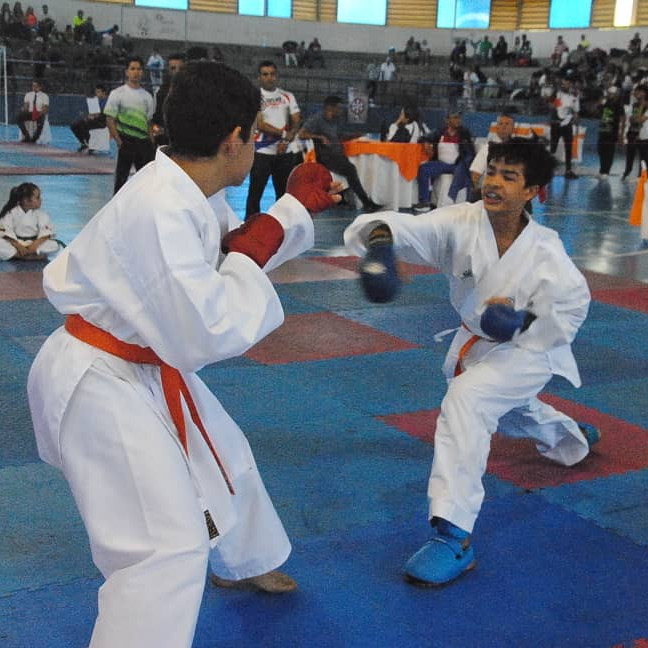 Diario Frontera, Frontera Digital,  Deportes, ,Mérida se convierte en escenario para el karate nacional