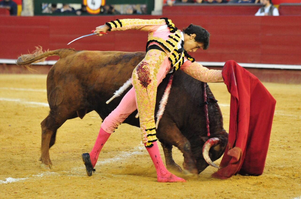 Diario Frontera, Frontera Digital,  Entretenimiento, ,Una extraordinaria vulgaridad sepulta la cumbre de Valencia: falla Victoriano; Roca no está