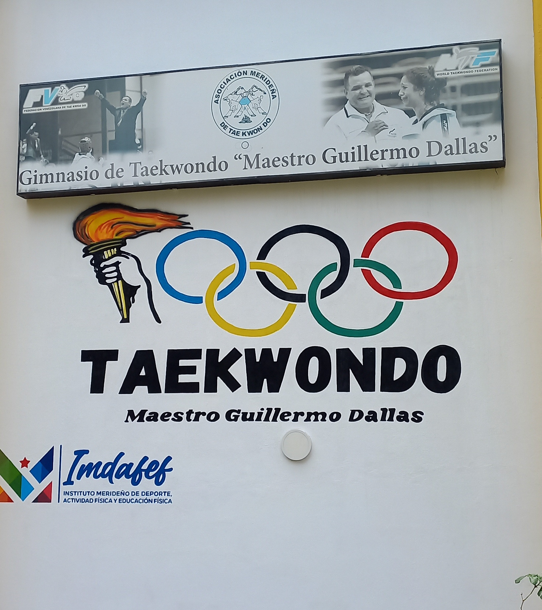 Diario Frontera, Frontera Digital,  Deportes, ,Mérida Avanza en el Taekwondo con Formación de Árbitros Estadales
