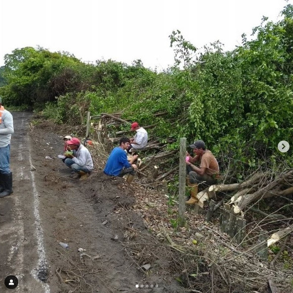 Diario Frontera, Frontera Digital,  El Vigía Panamericana, ,Ejecutan limpieza del limón swinglea en linderos de la carretera panamericana