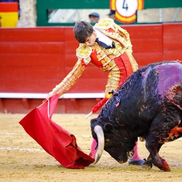 Diario Frontera, Frontera Digital,  Entretenimiento, ,El cañón y la solidez de Peñaranda estrenan la puerta grande; Navalón cuaja la faena de la tarde en Valencia