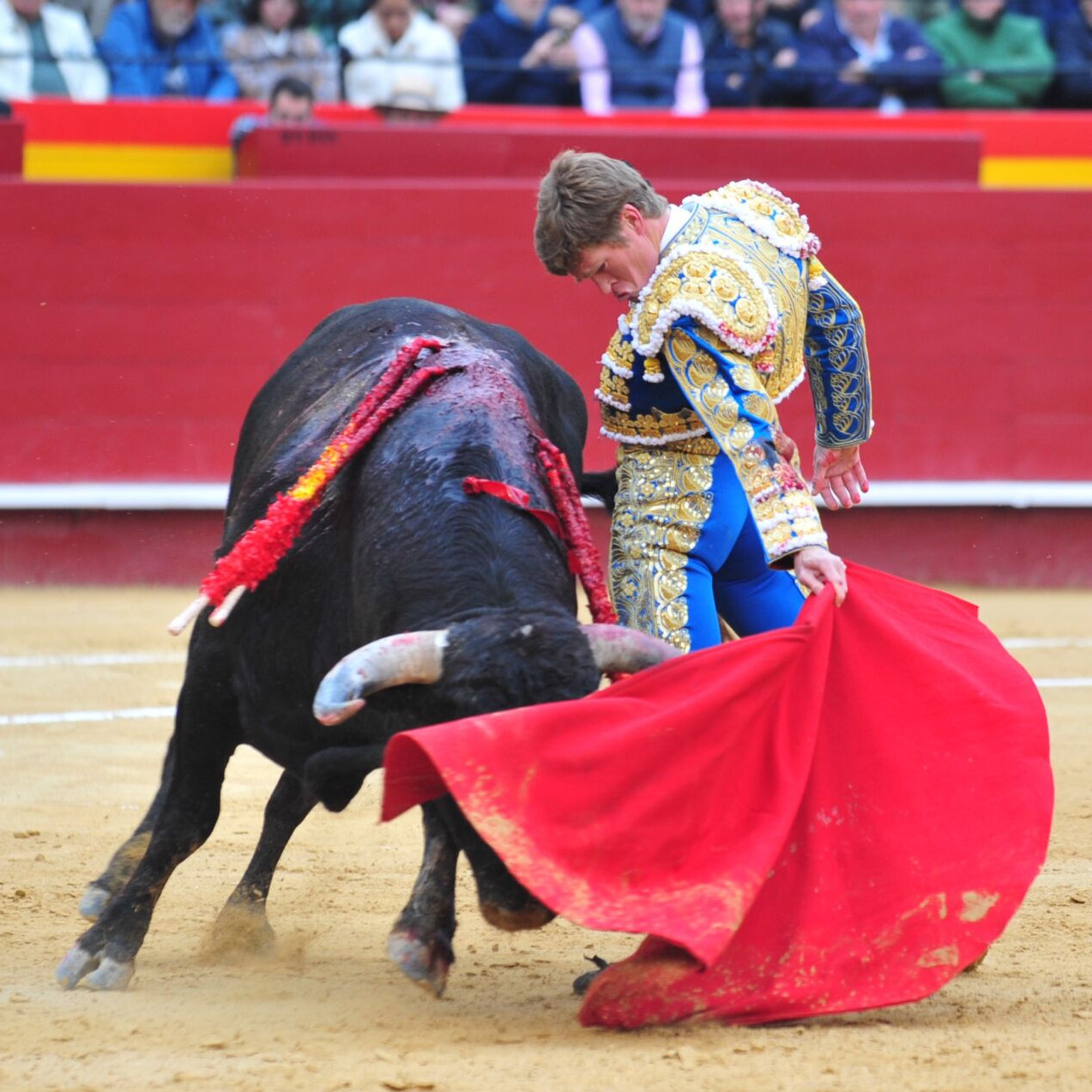 Diario Frontera, Frontera Digital,  Entretenimiento, ,Un repaso de Borja Jiménez, el más preparado y listo de la clase en Valencia