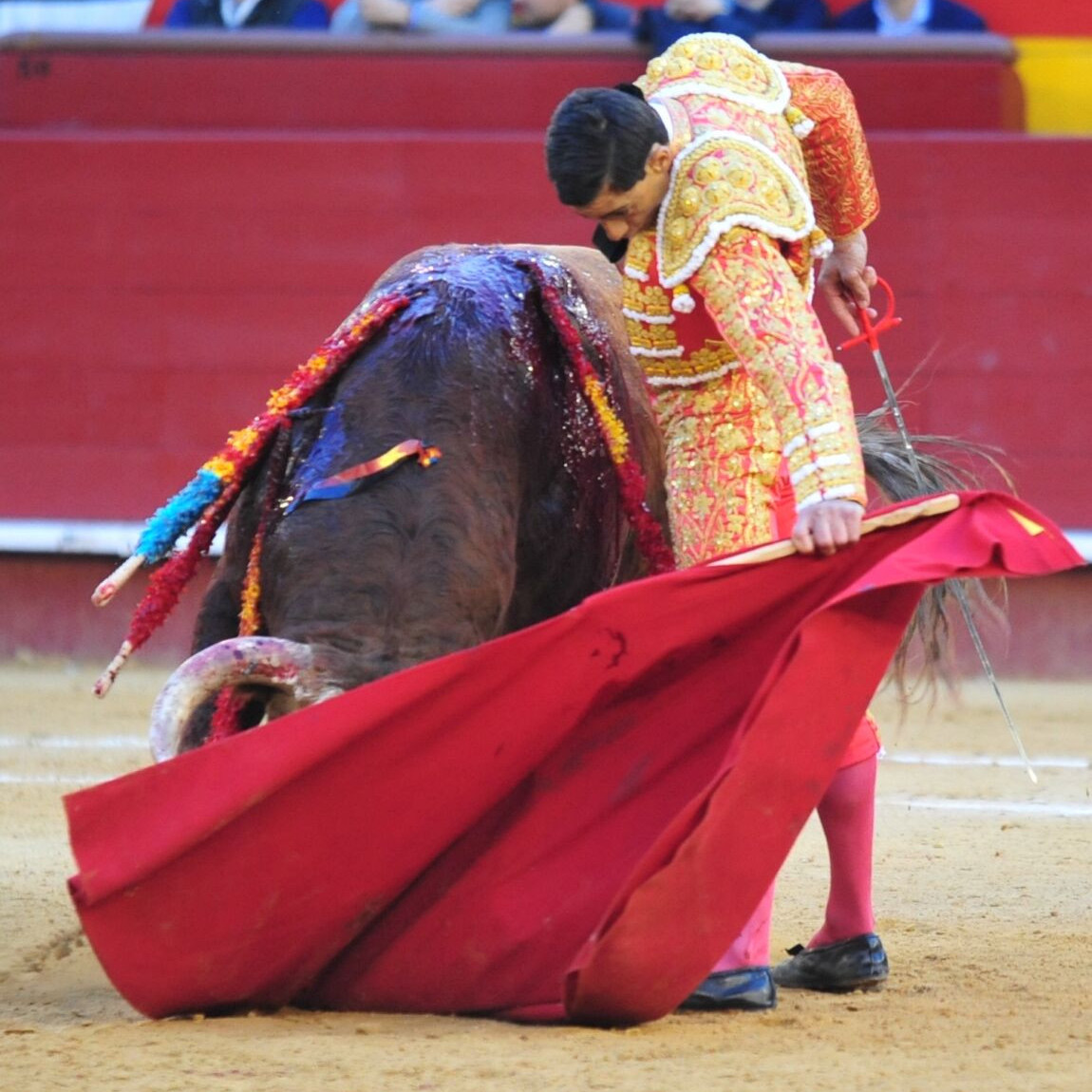 Diario Frontera, Frontera Digital,  Entretenimiento, ,Paco Ureña pone el toreo en la fiesta de El Fandi y Montalvo