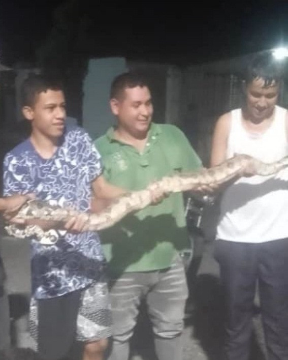 Diario Frontera, Frontera Digital,  El Vigía Panamericana, ,Vecinos del Barrio Bolívar exigen inspeccionar un galpón que está inhabilitado en El Vigía